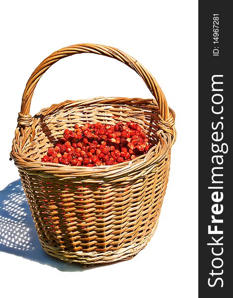 Basket full of wild strawberry on white background