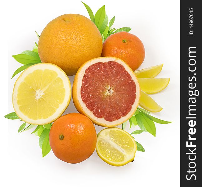 Group of fresh citrus fruits isolated on white with clipping path