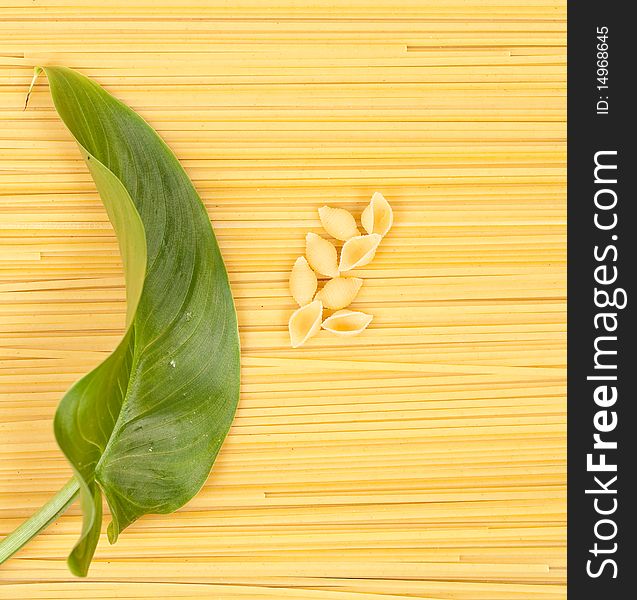 Raw pasta forming background for pasta shells and a leaf. Raw pasta forming background for pasta shells and a leaf