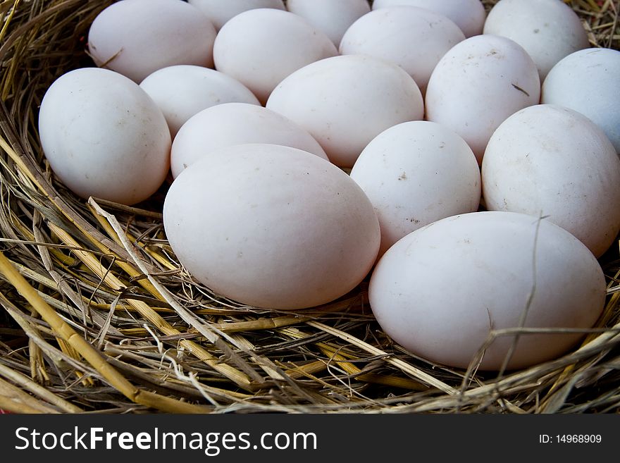 Eggs of duck for make salt eggs. Eggs of duck for make salt eggs.