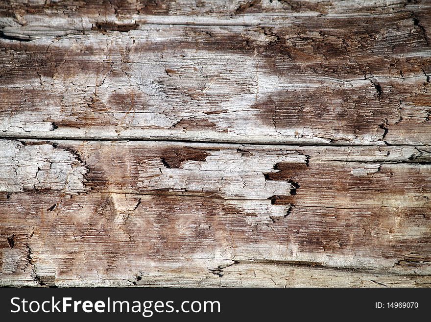 Background closeup driftwood