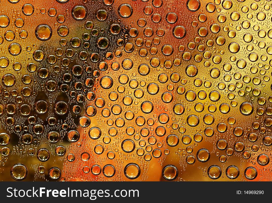 A bubble texture or background. A bubble texture or background