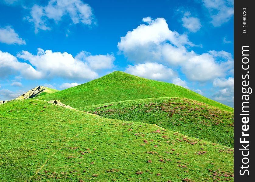 Hills covered with a green grass. Hills covered with a green grass