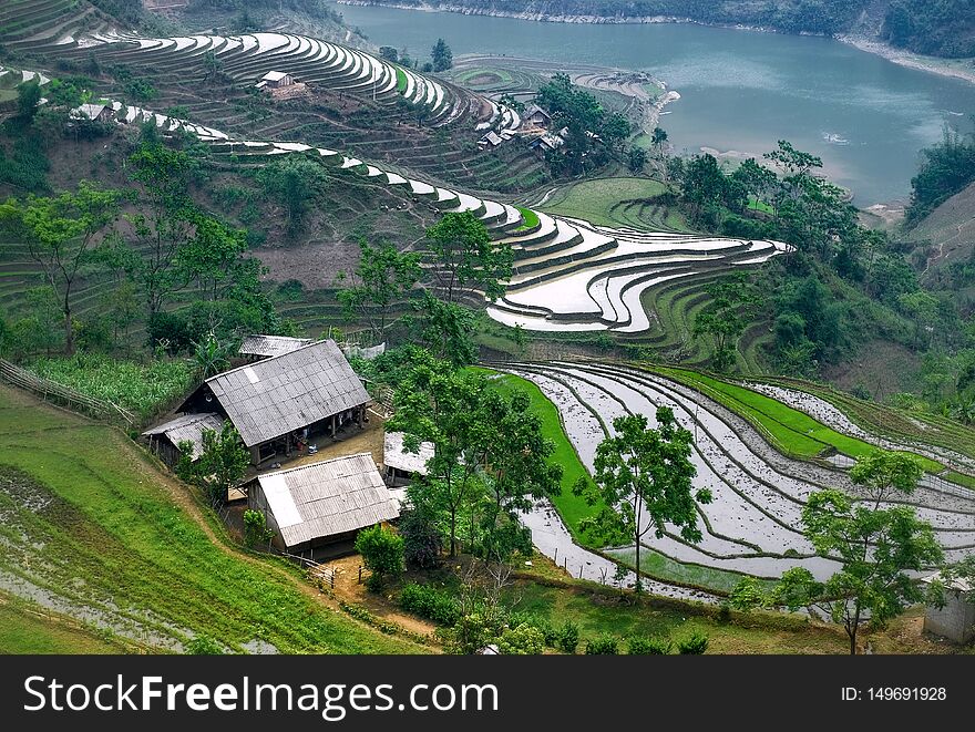 Terraces, Sapa, Lao Cai, Vietnam