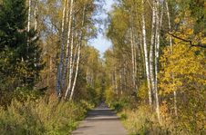 Autumn Park Royalty Free Stock Photography Autumn Park Royalty Free Stock Photography