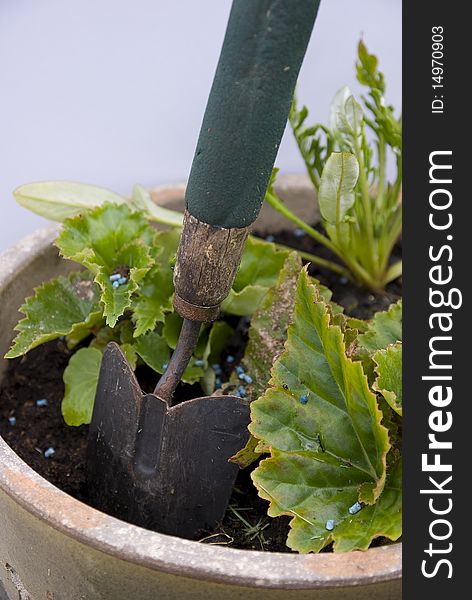 A garden tool in ceramic pot with summer bedding plants