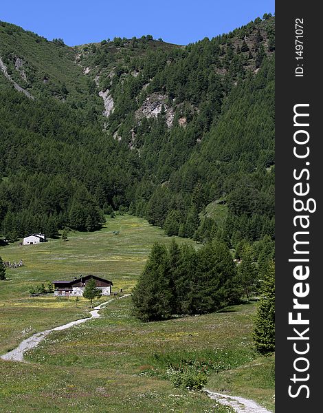 A little farm in the italian alps, near the Mortirolo Pass, Lombardy. A little farm in the italian alps, near the Mortirolo Pass, Lombardy.