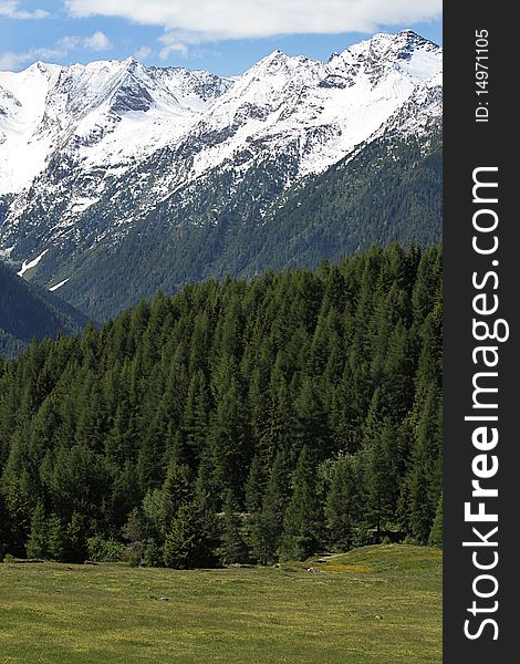 Pasture land in the italian alps, near Mortirolo Pass, in Lombardy.