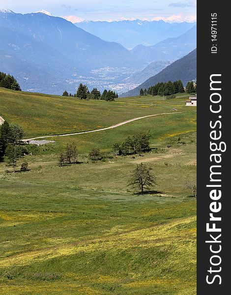 Pasture land in the italian alps, near Mortirolo Pass, in Lombardy. It's the Trivigno area.