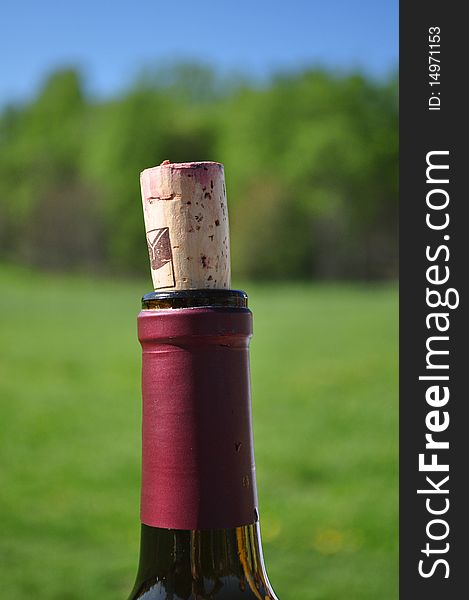 A Corked Wine Bottle at a Vineyard