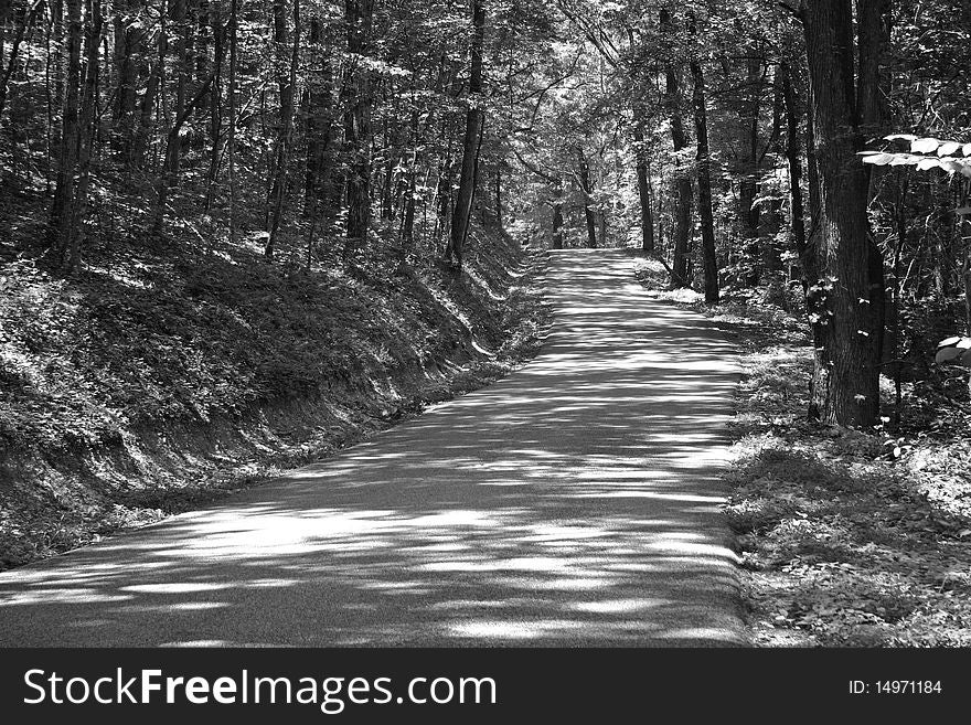 Black & white photo of a narrow country road in the woods. Black & white photo of a narrow country road in the woods