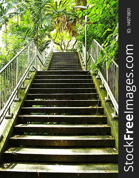 A stairway in the garden