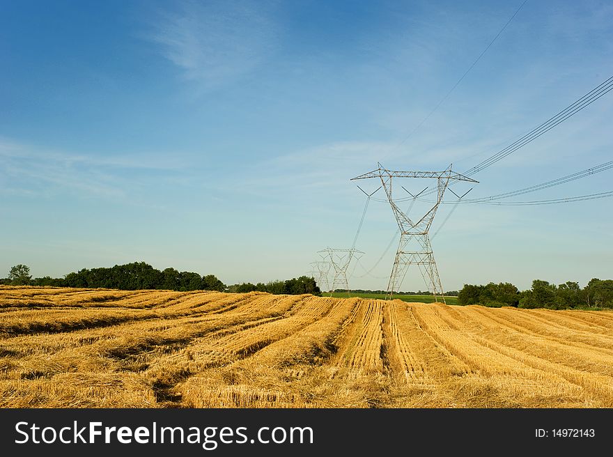 Power Lines Through Wheat Field