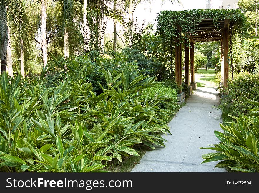 Tranquil gazebo with plant around. Tranquil gazebo with plant around