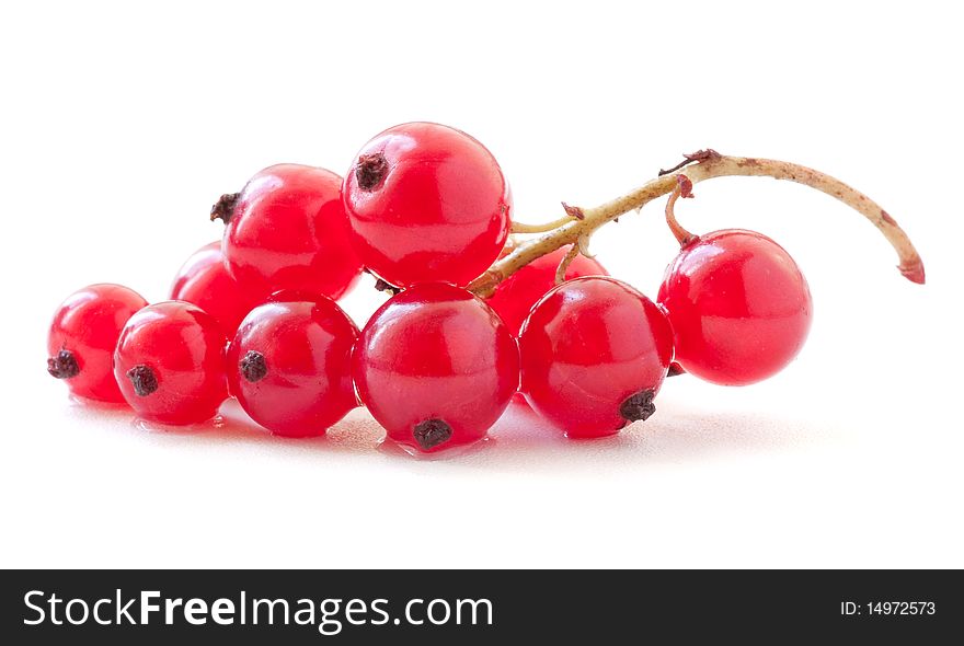 Redcurrant isolated on white background