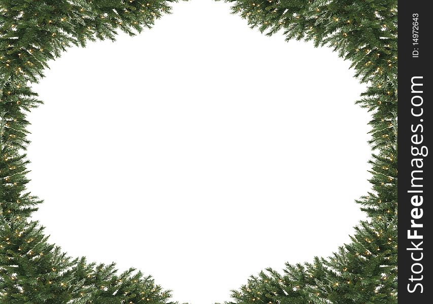 Image of Pine tree frame as background