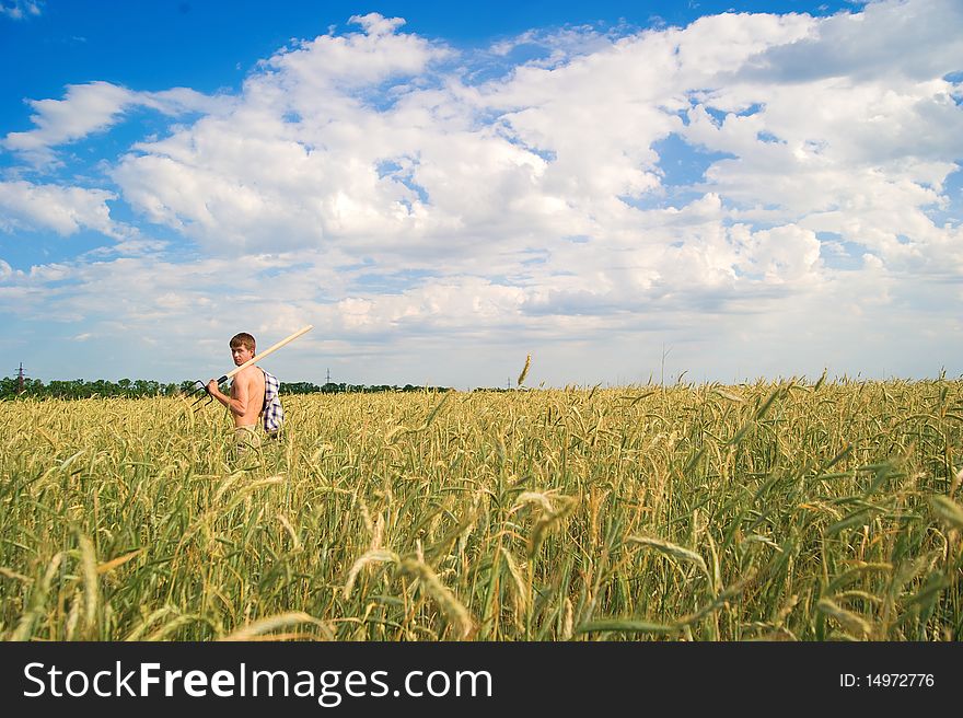 A Man In Field Of Wheat