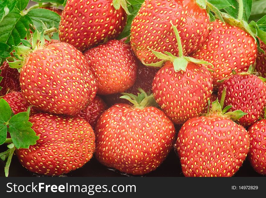 Heap of a lot of fresh red strawberries