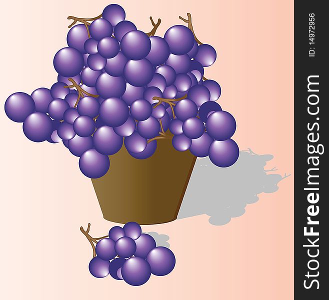 The grapes collected in ware. Vector illustration.