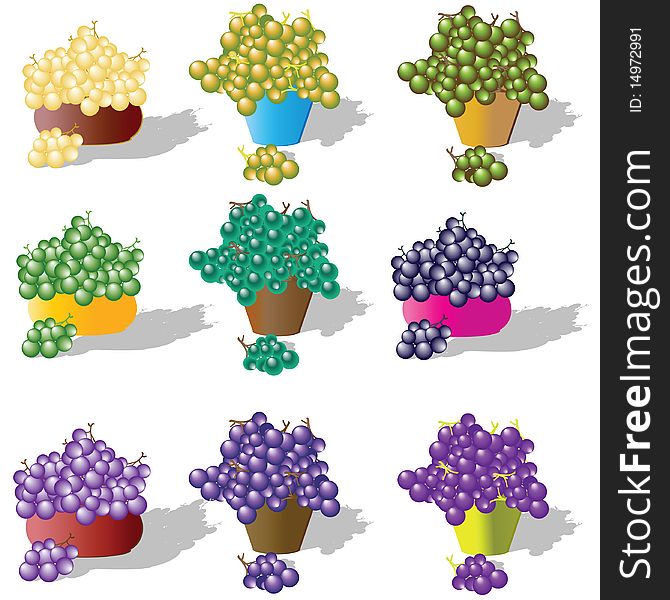 Multi-coloured grapes in ware. Vector illustration.