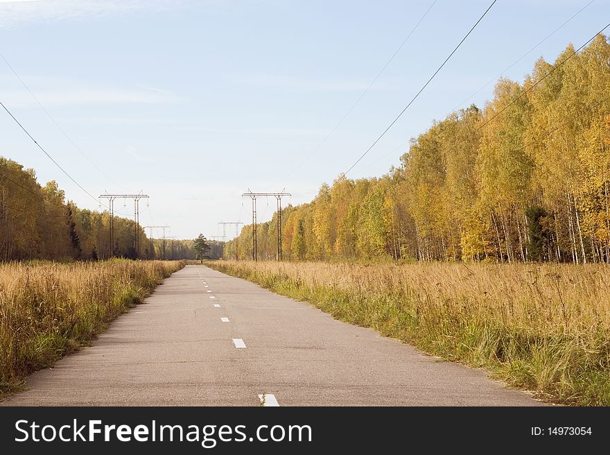 Asphalt road in autumn