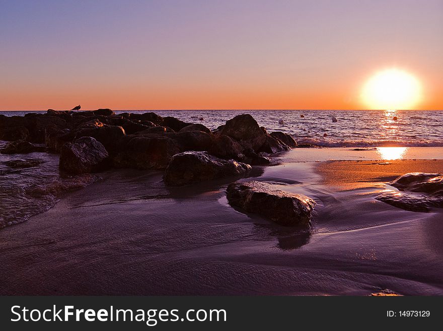 A beautiful shot of the seashore while the sun was going down, a seagull is resting on the rocks. A beautiful shot of the seashore while the sun was going down, a seagull is resting on the rocks