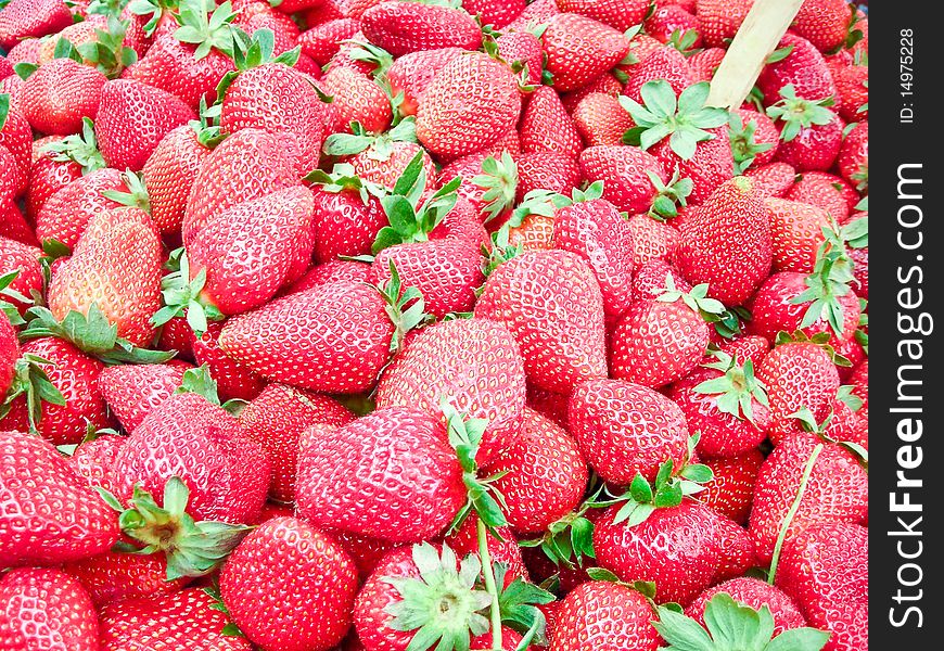 The fresh strawberries on sunny day