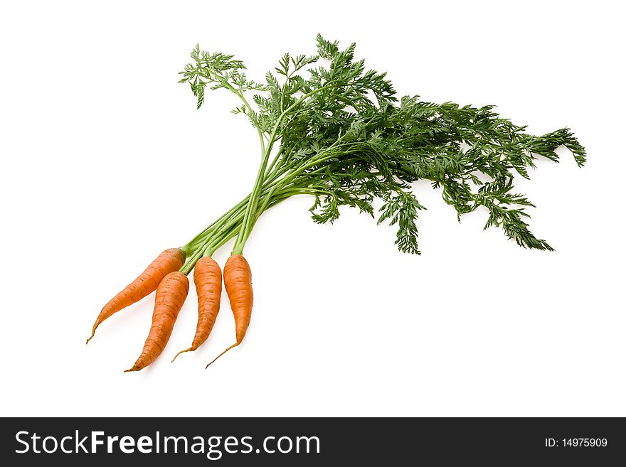 Fresh raw carrots on white background