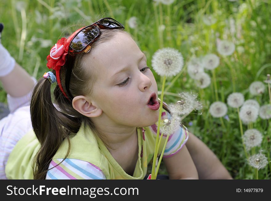 The little girl lies on a green lawn and blows on dandelions. The little girl lies on a green lawn and blows on dandelions
