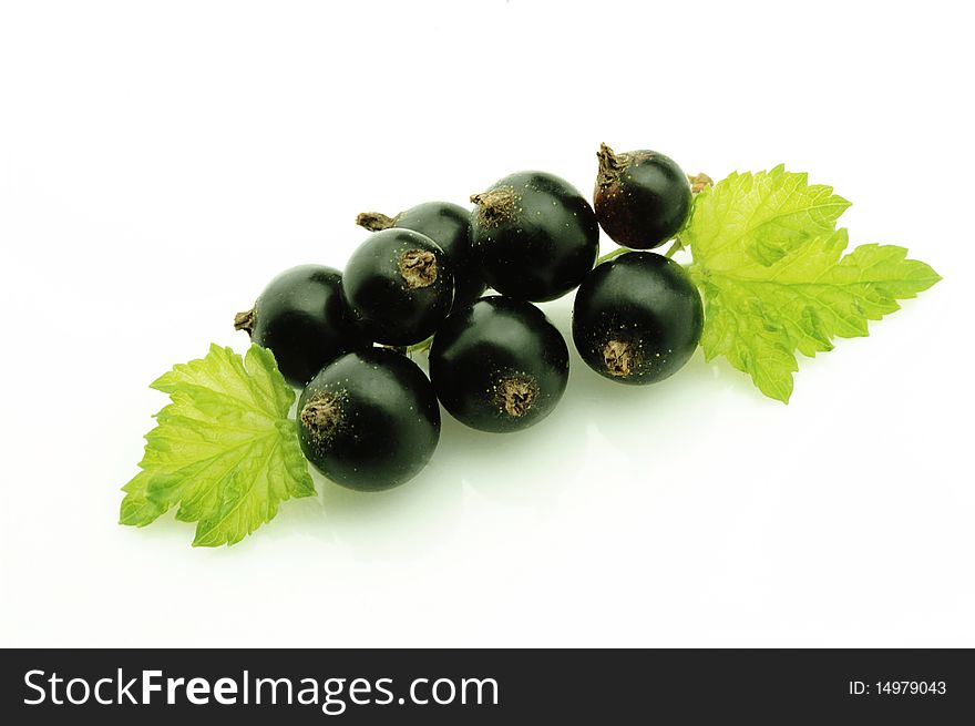 Black currant close up on white background