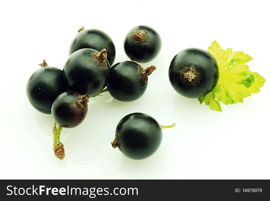 Black currant close up on white background