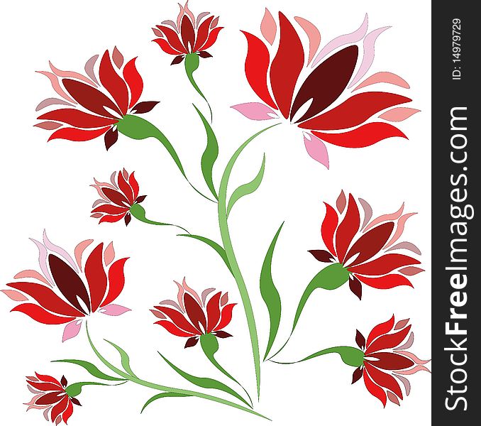 White background with red flowers in the center. White background with red flowers in the center.