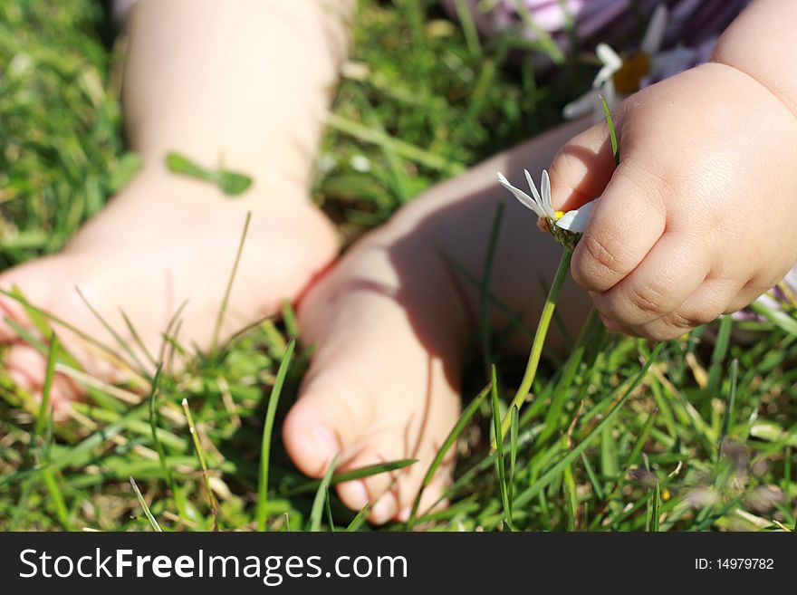 Baby Feet On The Grass
