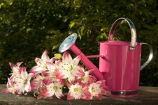 Watering Can For Flowers Stock Photo Watering Can For Flowers Stock Photo