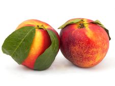 Juicy Peaches (nectarine) Royalty Free Stock Photo