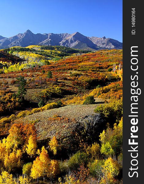 Scenic autumn landscape in Colorado near Dallas divide. Scenic autumn landscape in Colorado near Dallas divide