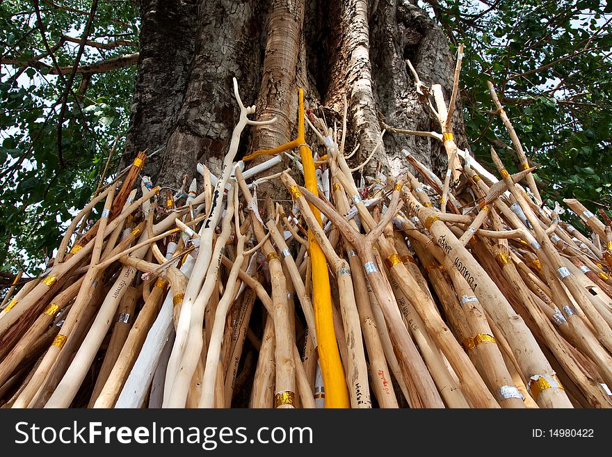 Image of Buddhist Sticks at Chiang Mai Temple