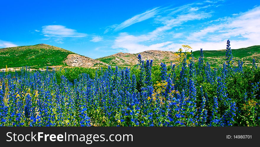 Landscape - field with dark blue colours, hills and sky. Landscape - field with dark blue colours, hills and sky