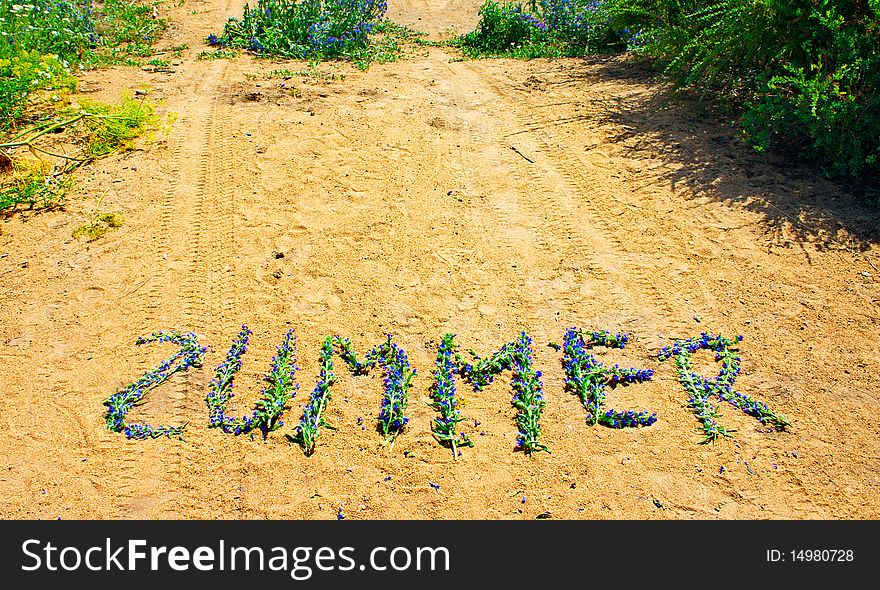 Word summer laid out on sandy yellow road dark blue flowers. Word summer laid out on sandy yellow road dark blue flowers