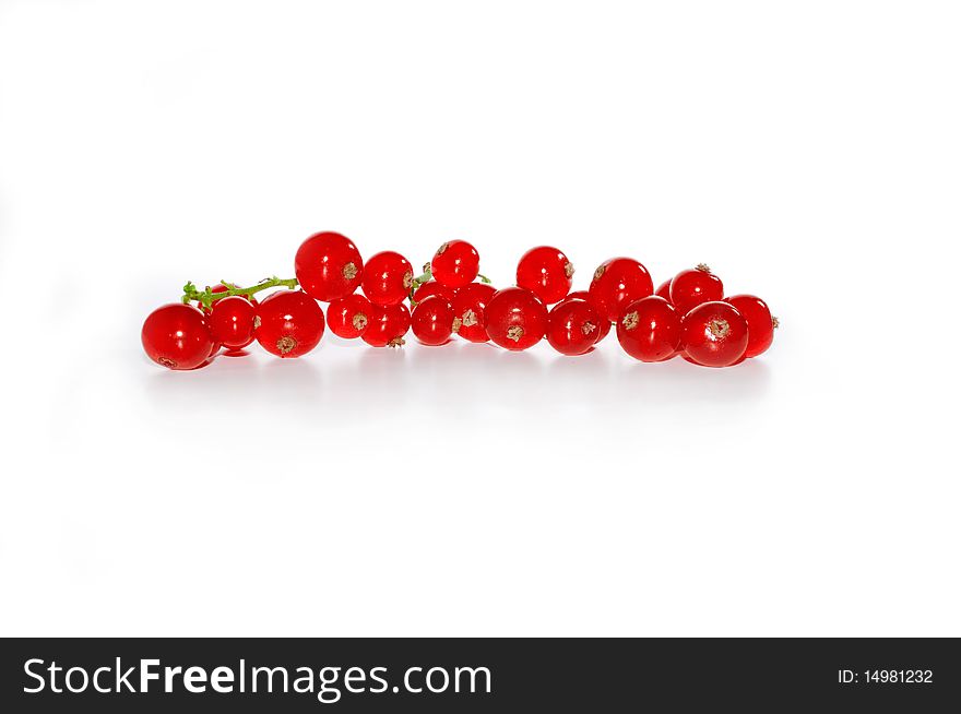 Red ribes, isolated on white background