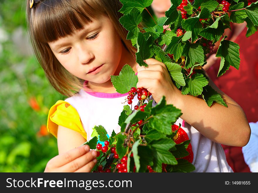 The child holds a branch with berries. garden;