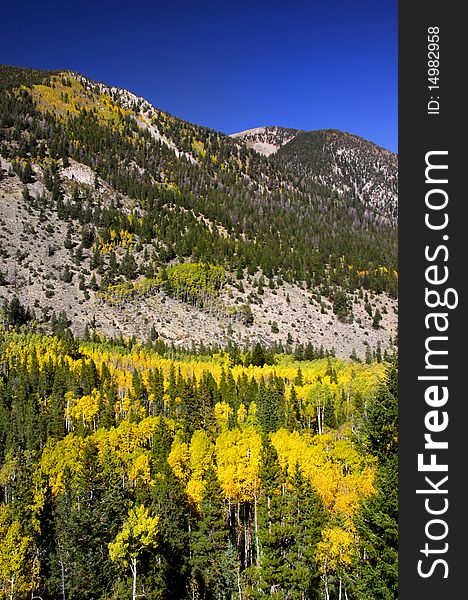Scenic autumn landscape in Colorado rocky mountains. Scenic autumn landscape in Colorado rocky mountains