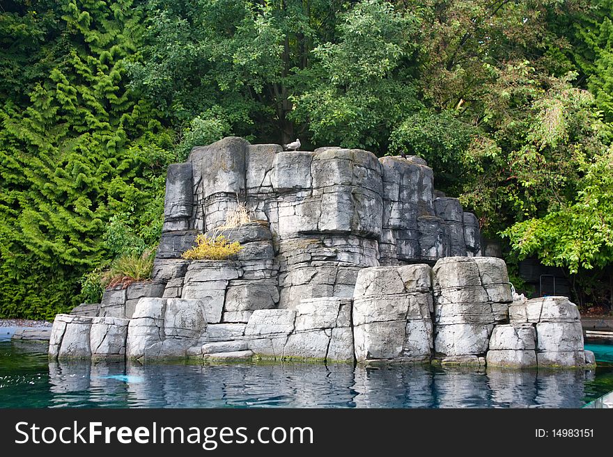 Alone bird sitting on the rock in the water. Alone bird sitting on the rock in the water.