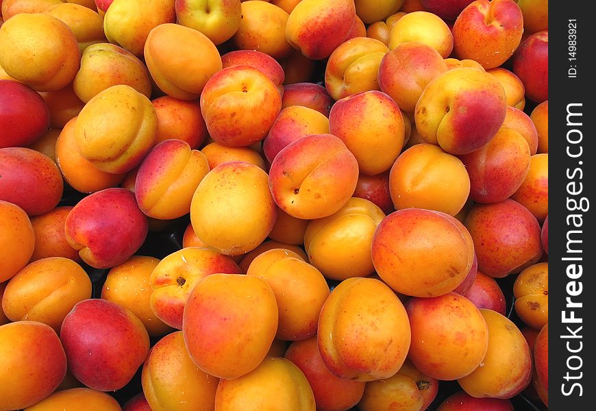 Yellow fresh apricots on a pile for sale