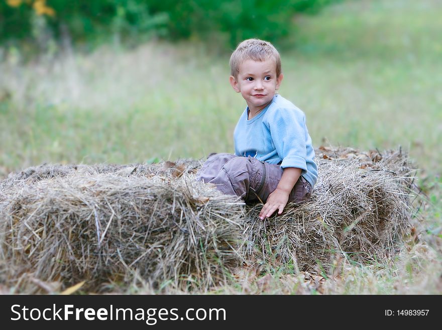 Cute Boy In Hay