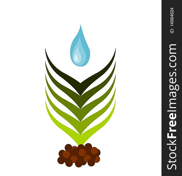 Plant growing from soil watered. Symbolic illustration. Plant growing from soil watered. Symbolic illustration