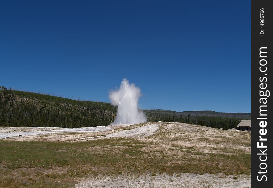 A Geyser at Yellowstone National Park