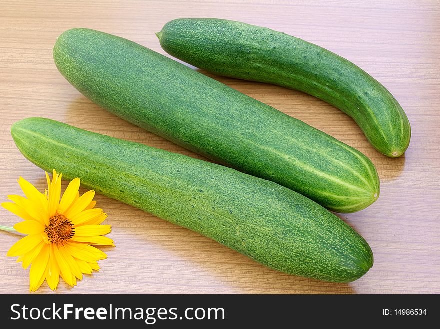 Green young cucumber