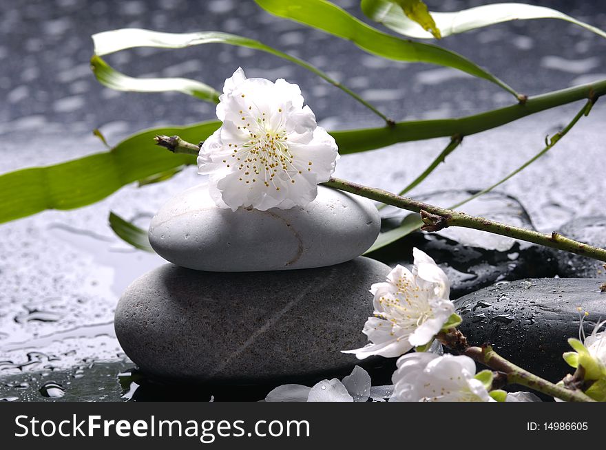 Stacked stones and white flower and water drops. Stacked stones and white flower and water drops