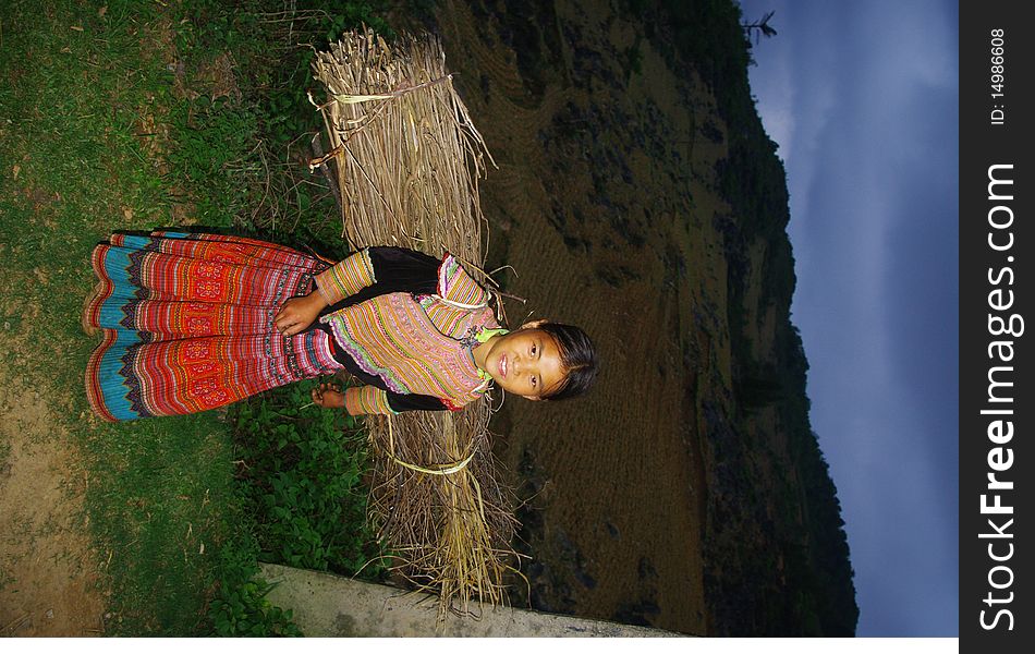 Night falls, the 10 year old girl alone on the road enters the forest with her bundle of wood for the cooking of his mother. In the mountains of northern Vietnam, women cook with wood. Deforestation due to the need for more in more land under cultivation, trafficking of precious woods, the practice of burning forests are being squeezed. Night falls, the 10 year old girl alone on the road enters the forest with her bundle of wood for the cooking of his mother. In the mountains of northern Vietnam, women cook with wood. Deforestation due to the need for more in more land under cultivation, trafficking of precious woods, the practice of burning forests are being squeezed.